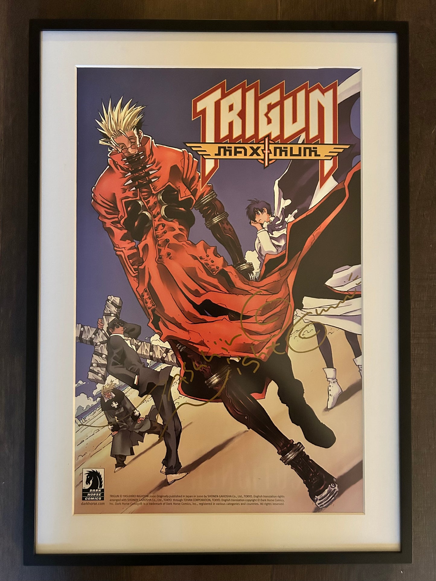 Vhett Frames - 11 x 17 Poster Frame